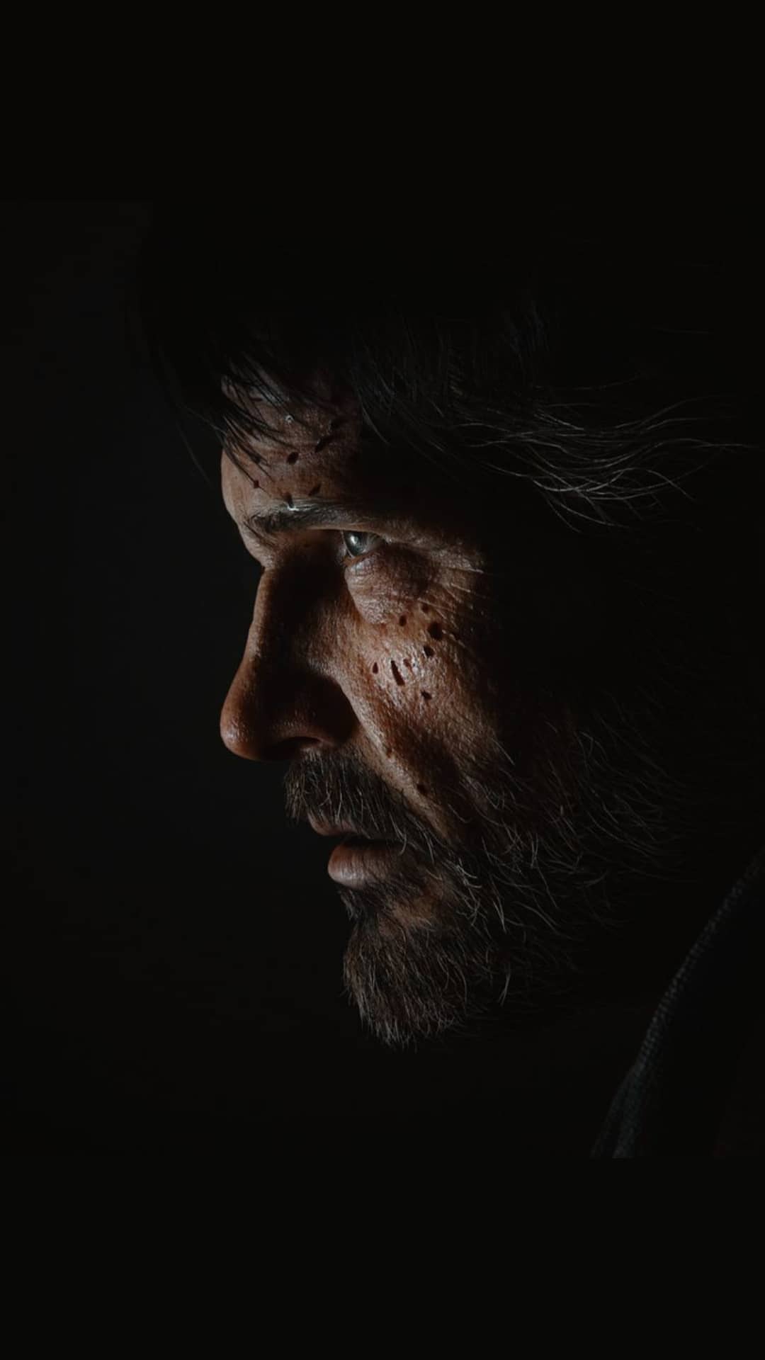 تابلو دیواری The Last Of Us