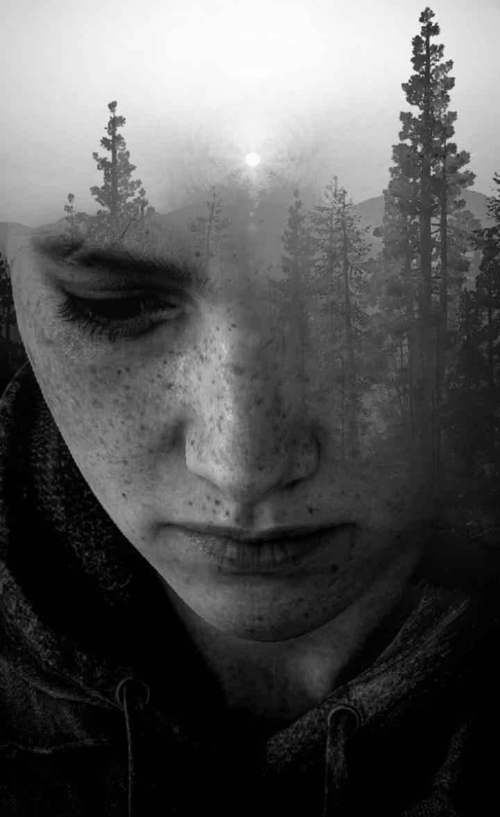 تابلو دیواری The Last Of Us